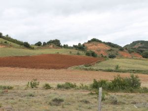 UA160730Wandeltocht40.JPG